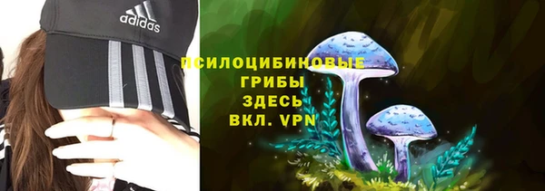 крисы Чегем