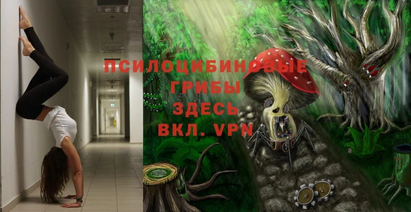 метамфетамин Козловка
