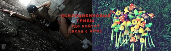 сатива Кодинск