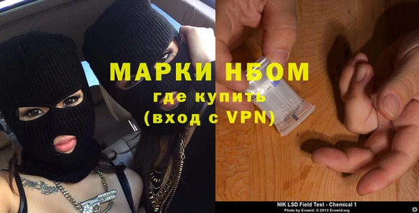 крисы Чегем