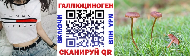Купить Новодвинск Псилоцибиновые грибы MAGIC MUSHROOMS